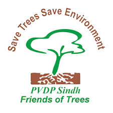 PVDP Sindh